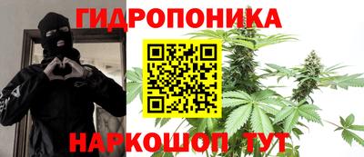 гидра Можга