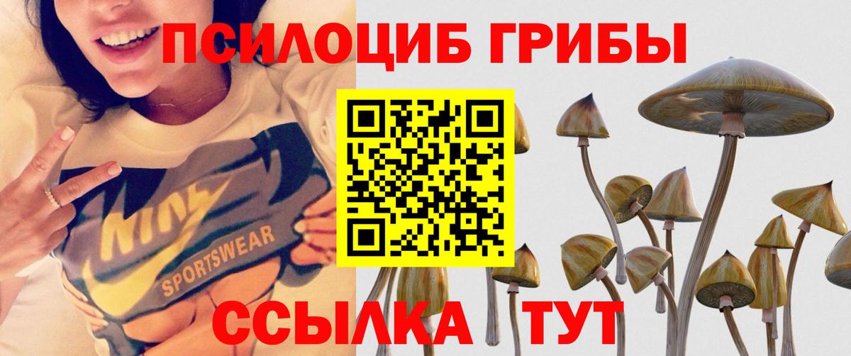 Псилоцибиновые грибы мицелий  где можно купить   Энгельс  Вход с VPN 