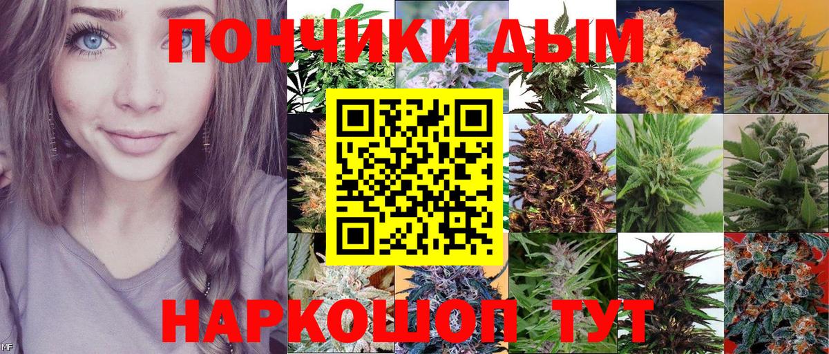 Каннабис Bruce Banner Энгельс